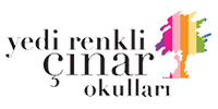 Yedi Renkli Çınar